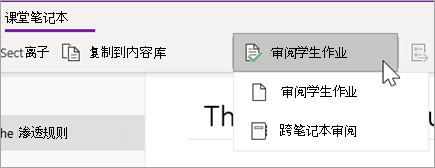 “查看学生工作”按钮。“审阅学生工作”和“跨笔记本审阅”是选项。