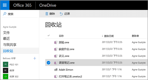包含笔记本页面列表的 OneDrive 回收站。