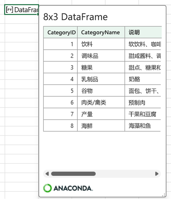 打开的 Excel 中的 Python DataFrame 卡片，其中显示了类别数据。