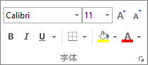 字体组中的选项