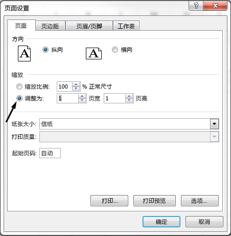 在“页面设置”对话框中定义“适应”选项。