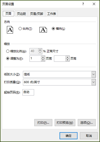 页面设置 > 页选项的屏幕截图