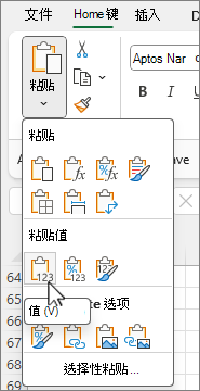 选项库中的“粘贴值”按钮