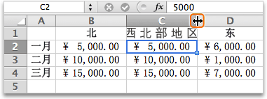 将指针移动到列标题 C 和 D 之间，然后双击