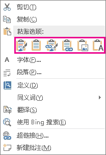 用于将 Excel 图表粘贴到 Word 中的五个选项的按钮组
