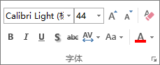字体组中的选项