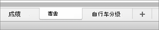 MacOS 上的工作表选项卡。