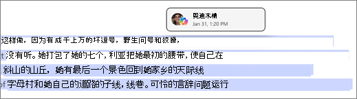 Copilot Pages 标识作者和 Copilot 时间戳
