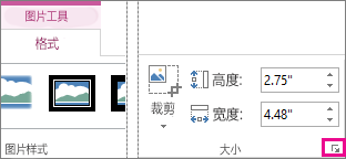 “图片工具”下的“格式”选项卡上的“大小”组中的对话框启动器