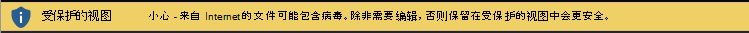 来自 Internet 的文档的“受保护的视图”