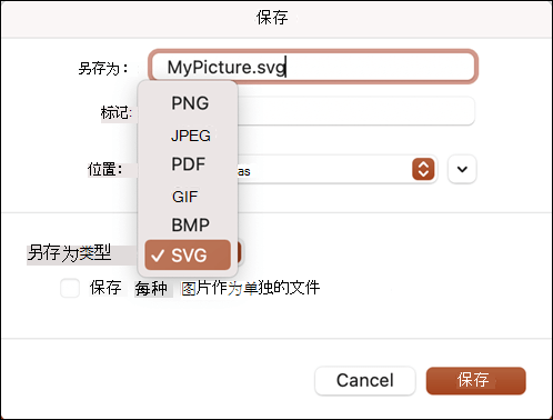 在已选择 SVG 选项的 PowerPoint 2021 for Mac 中另存为对话框