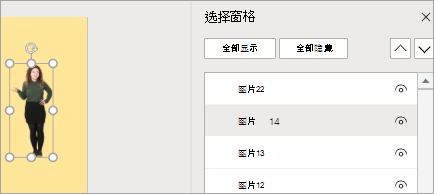 显示“选择”窗格