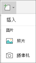选择“插入 > 照片”