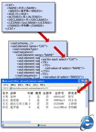 使用架构和转换的基本 XML 文件结构