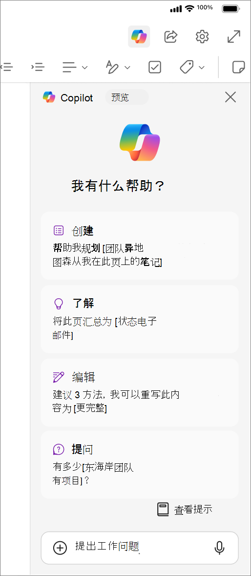访问 OneNote for iOS 中的 Copilot 按钮