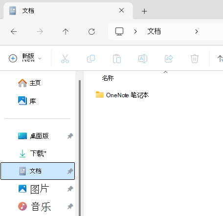 显示 OneNote Notebook 子文件夹的 Documents 文件夹。