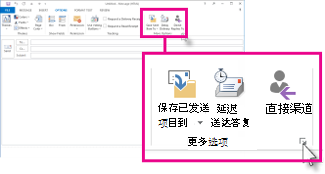 功能区上的“其他选项”组
