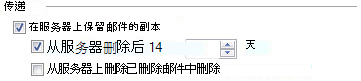 “Internet 电子邮件设置”对话框的“高级”选项卡上的“传递”区域