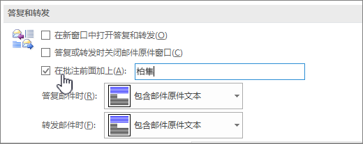 在“选项”中设置内联注释
