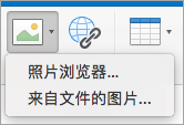 显示签名的插入图像选项