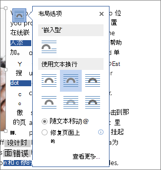 “布局选项”框