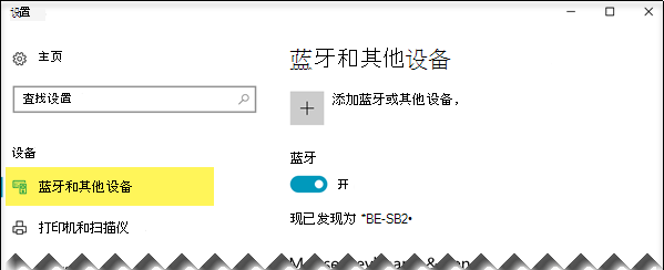 确保在左侧选择了“蓝牙 & 其他设备”选项