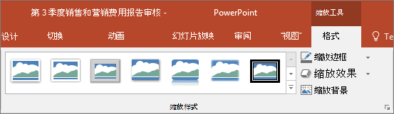 显示 PowerPoint 中可在“格式”选项卡中选择的不同缩放定位样式和效果。