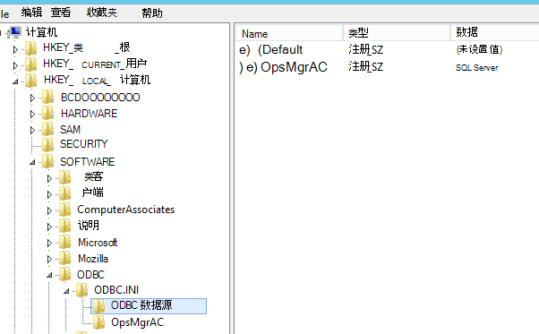 ODBC 数据源子项