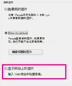 Lync 我的图片选项窗口的屏幕截图部分，其中包含从网站选择图片