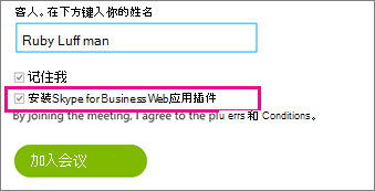 确保已选中“安装 Skype for Busiiness Web 应用插件”