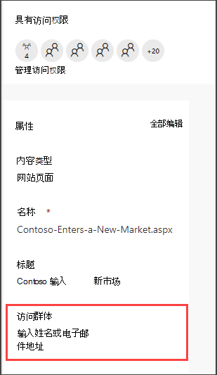 页面详细信息窗格，其中包含用于输入访问群体的选项