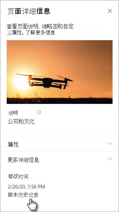 页面详细信息下的“版本历史记录”链接的屏幕截图