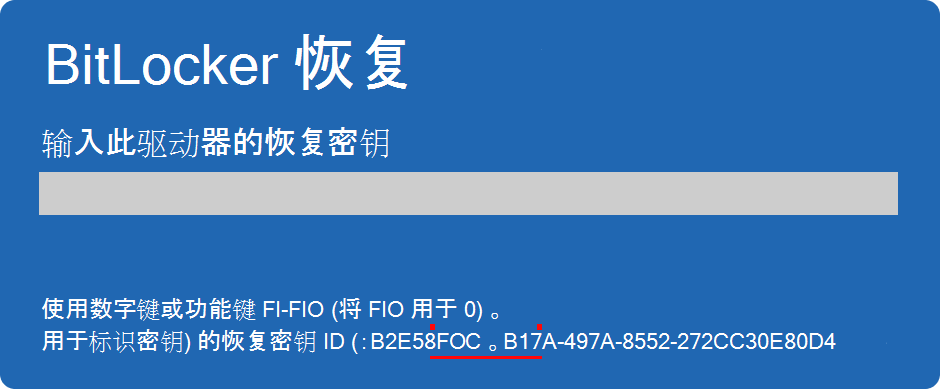 BitLocker 恢复屏幕的屏幕截图，其中突出显示了密钥 ID。