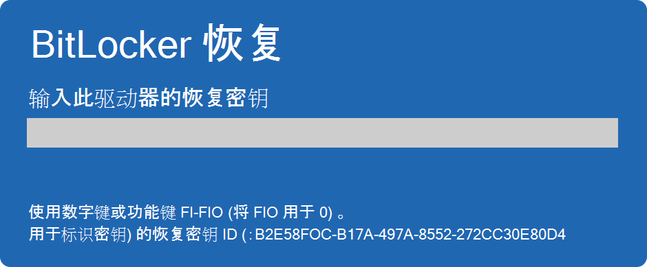 BitLocker 恢复屏幕的屏幕截图。