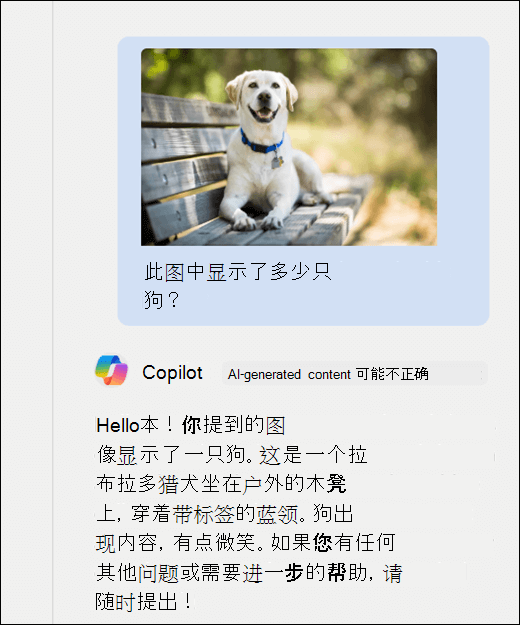 Copilot 的屏幕截图。已将狗的图像与提示一起粘贴到此图像中显示了多少只狗？Copilot 已准确响应并提供图像的其他说明。
