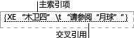 XE（索引项）域