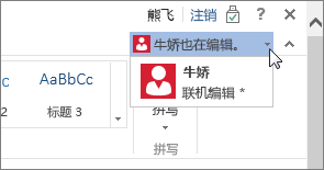 Word Online 中的作者