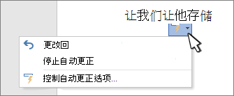 文档上已更正的工作上的“自动更正选项”按钮和菜单