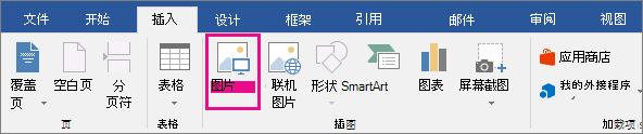 “插入”选项卡上已突出显示“图片”图标