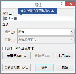 为标签字段中的题注键入任何可选自定义文本。