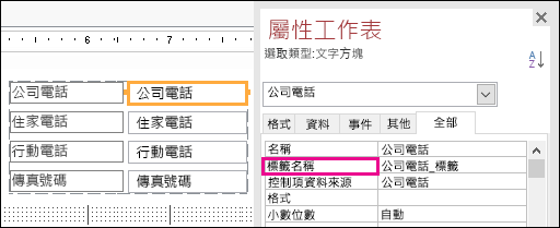 顯示在 [屬性工作表] 中的 [標籤名稱] 屬性