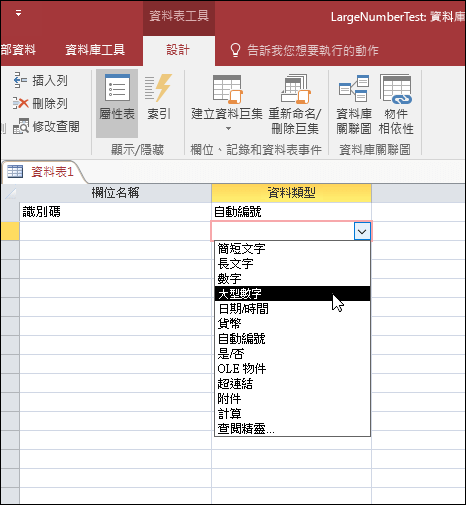 Access 資料表中資料類型清單的螢幕擷取畫面。選取 [大型數字]。