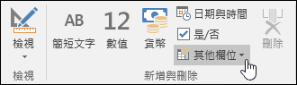 [欄位] 功能區索引標籤上的 [新增 & 刪除] 群組的螢幕。
