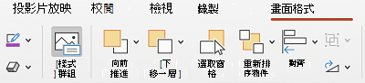 在 Mac 版 PowerPoint 中，功能區上的 Alt Text 按鈕。