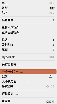 在 Mac 版 PowerPoint 的右鍵選單中「檢視替代文字」選項。