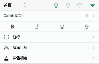 iOS Excel 中的字型格式選項