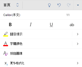 Android 版 Word 中的字型格式選項。