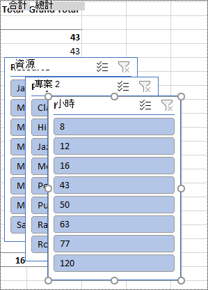 切片軟體在 Excel 工作表上進行篩選。