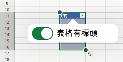 在 iOS 版 Excel 中，表格中有標頭選項