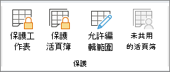 [保護活頁簿] 選項